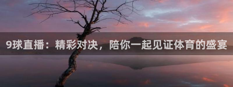9球直播：精彩对决，陪你一起见证体育的盛宴