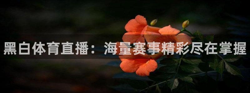黑白体育直播：海量赛事精彩尽在掌握