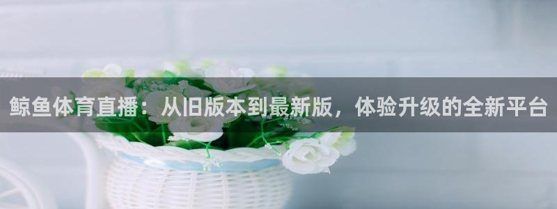 鲸鱼体育直播：从旧版本到最新版，体验升级的全新平台